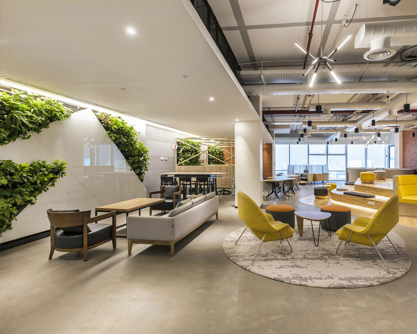 為什么健康是綠色辦公設計的關鍵